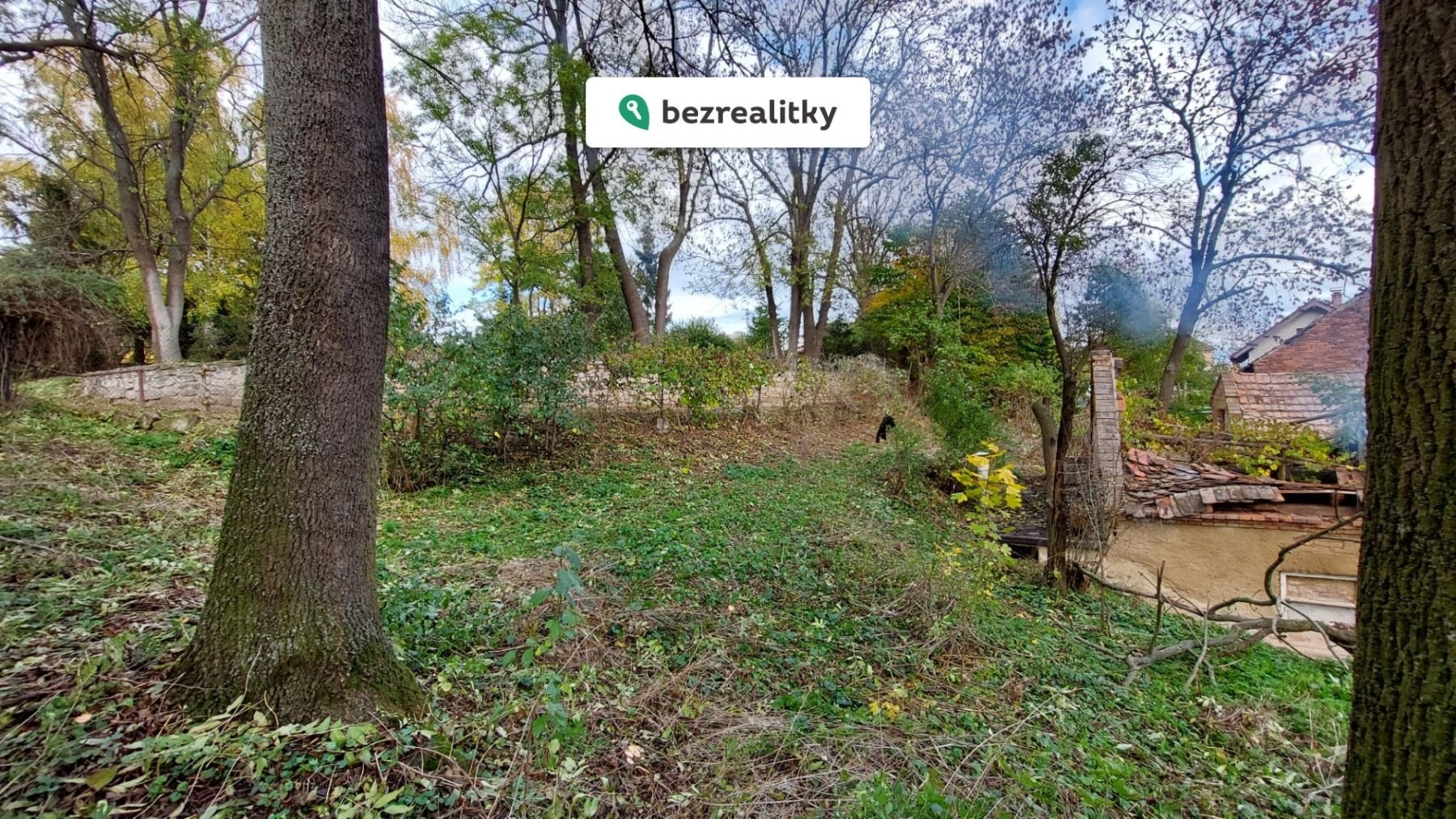 1763044499-gwfwfwpwyt-whatsapp-image-2025-10-27-at-10-58-501