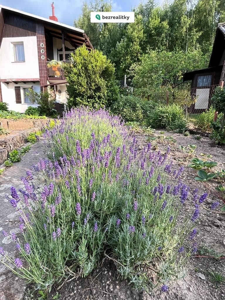 1775842222-jixunsease-photo-2022-06-28-06-26-25