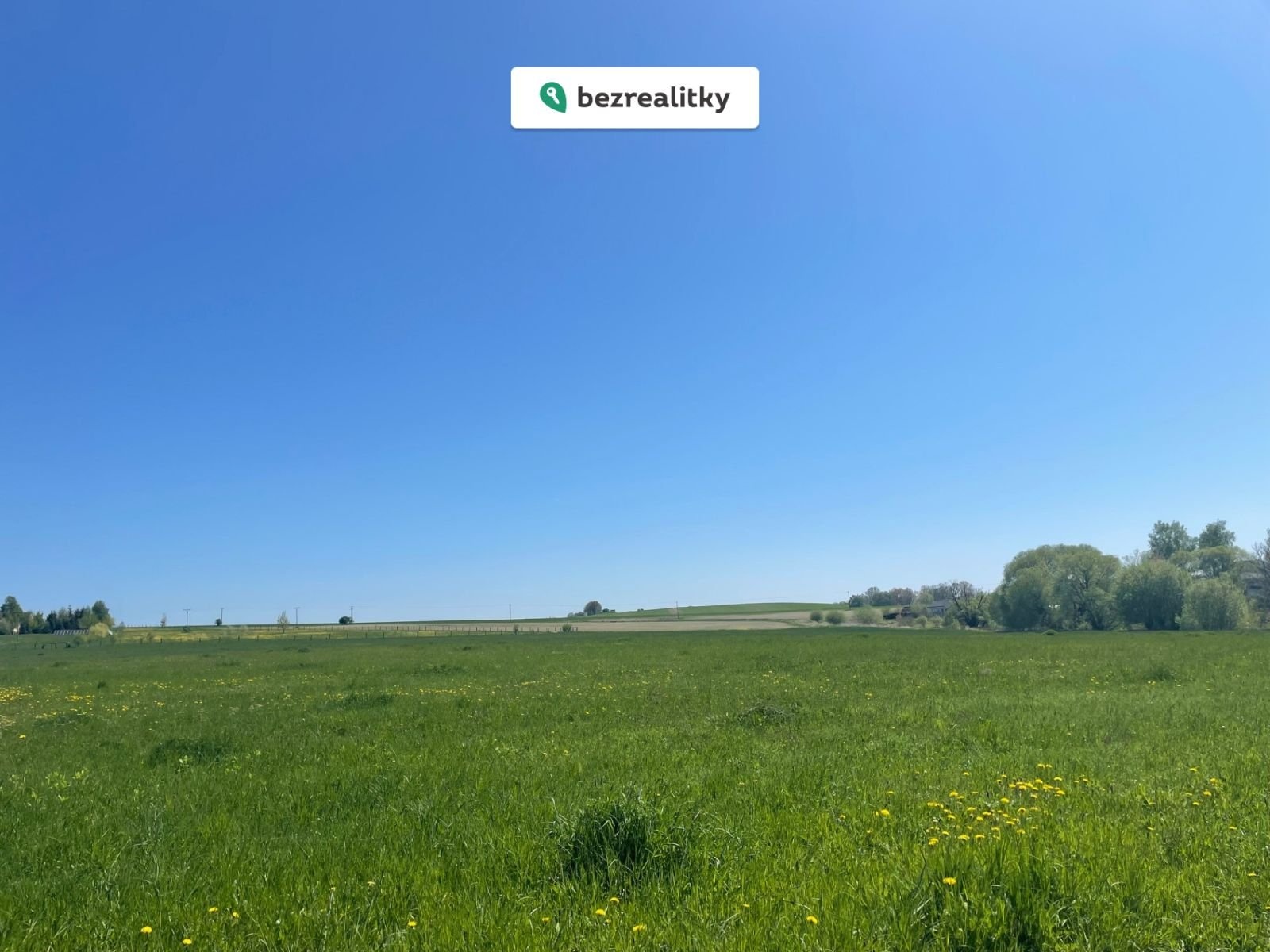 1774872270-jtjmskfvgy-img-6314