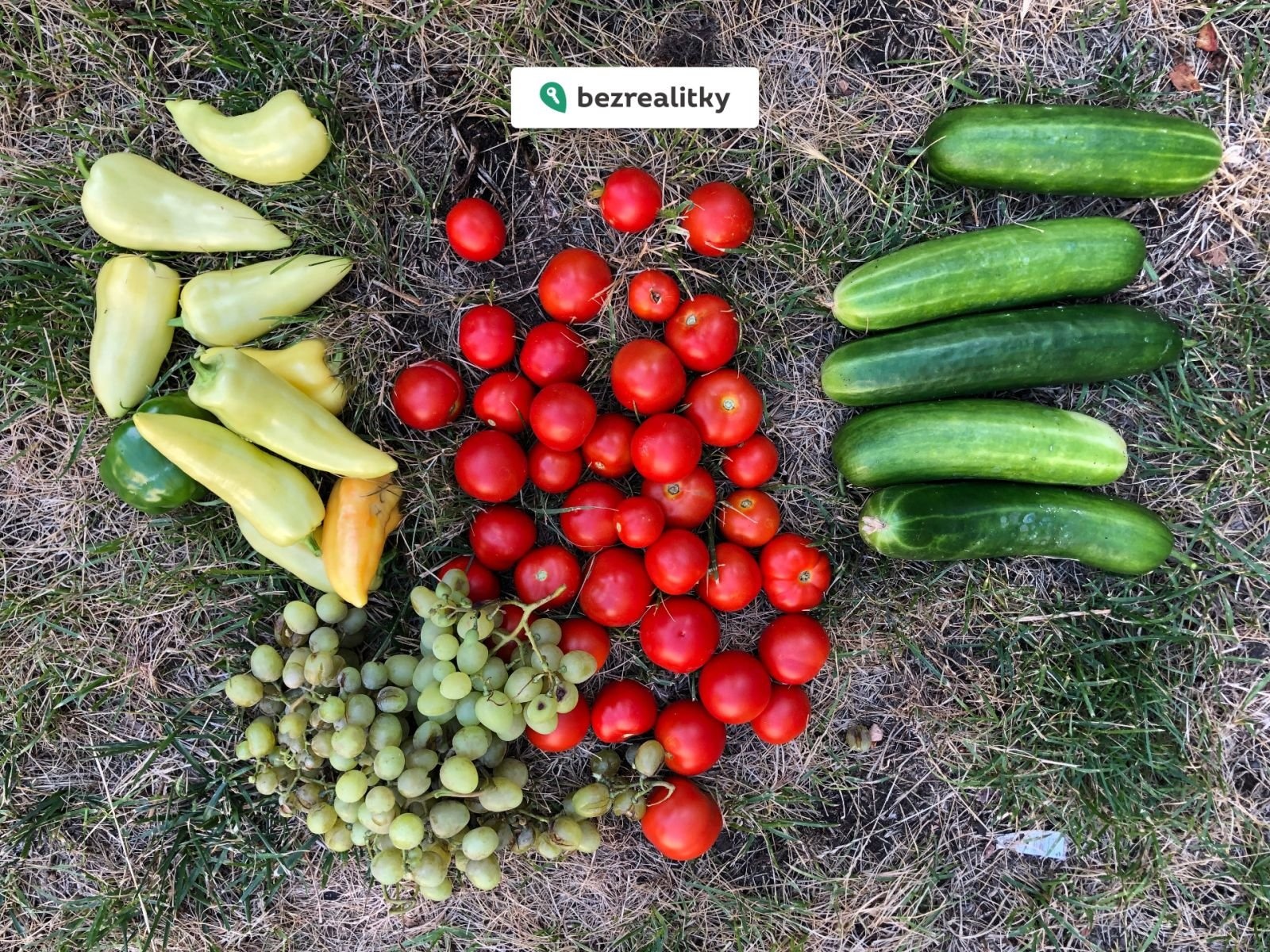 1767949798-jykitlnqpn-byt-kodanska-22