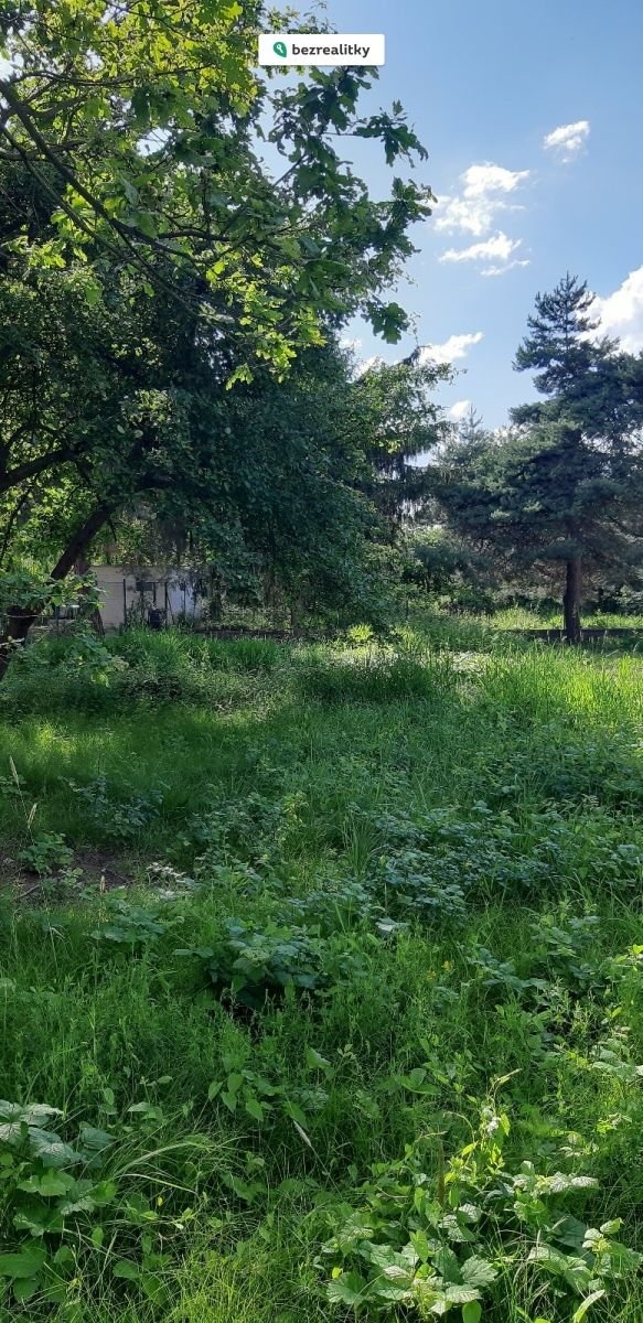 1730549849-ffefyjgkyj-1000070596