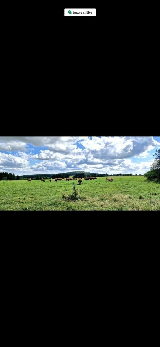 1763557414-hpbbyjdvcd-1000428556