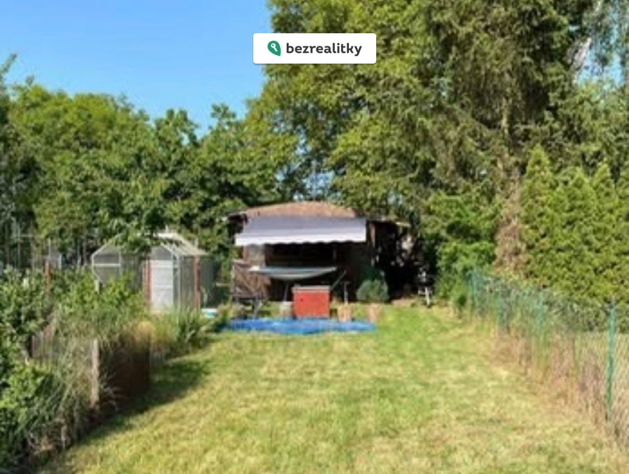 1769774871-xgyljnxrbq-img-7603