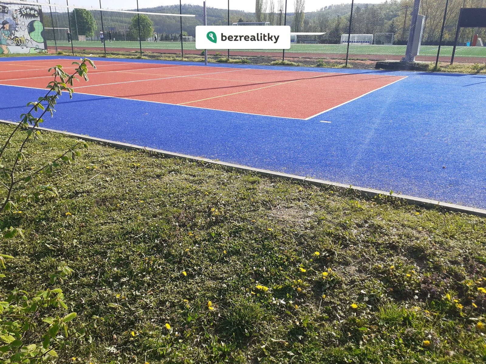 1771100721-jedtbsgohz-img-9046