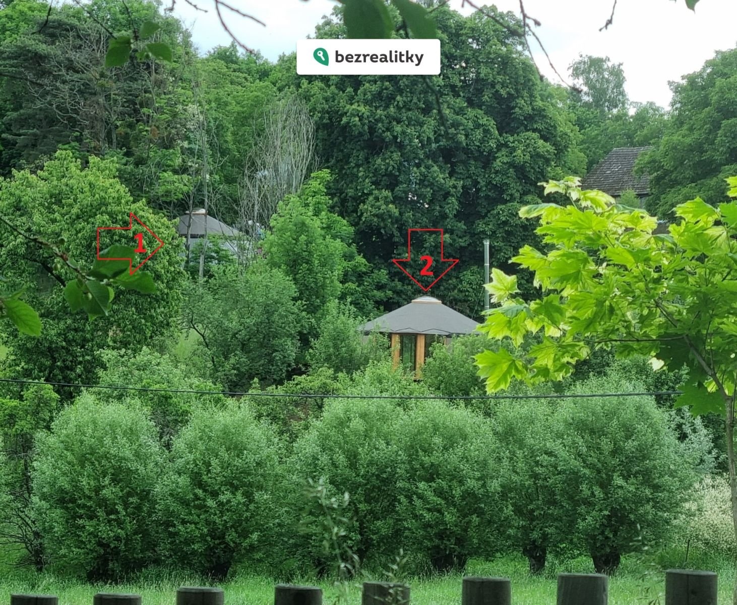 1763417234-dxxzjmcgwv-uvodni-foto-obr-c3-a1zek-wha