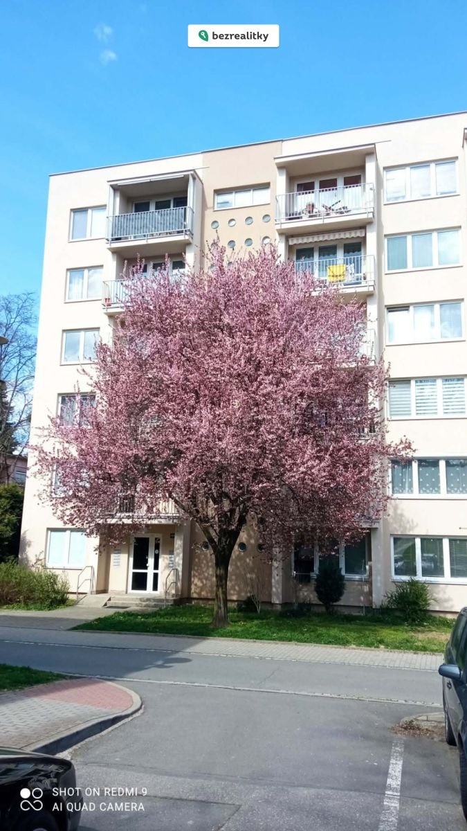 1775497862-tekkmexnlv-messenger-creation-067db407-4a33-4c42-a2ec-ea05614d1aee