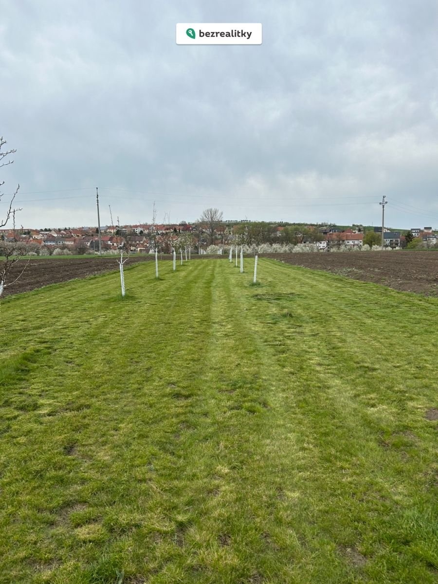 1763367510-rpuaydxauk-img-3740