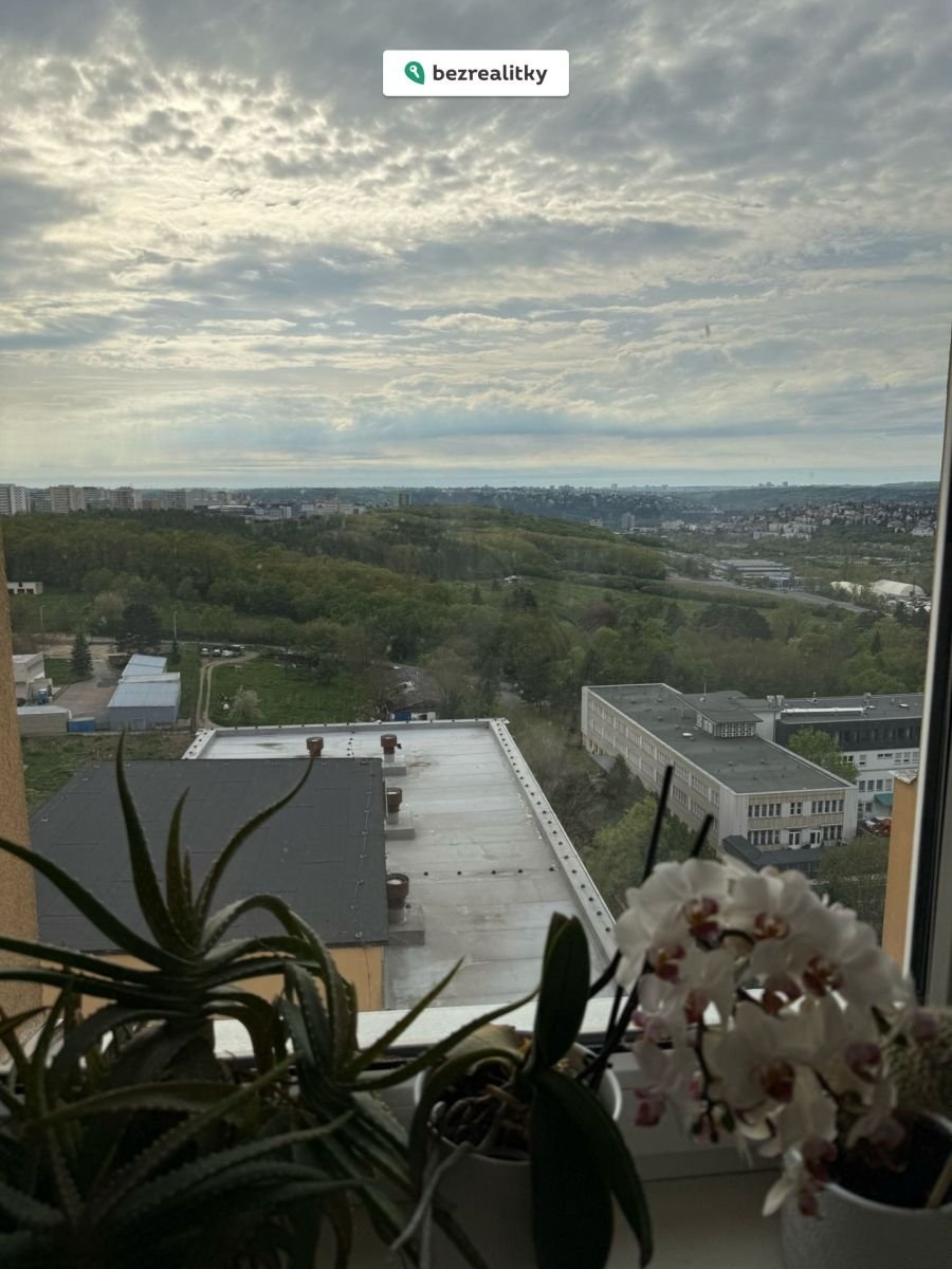 1773303902-ogzcwfbyho-4