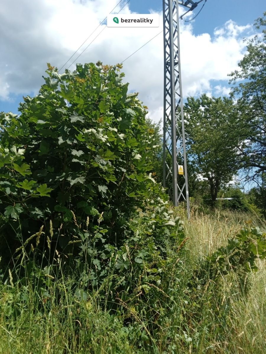 1751296185-fznvbbspiq-20250625-141629