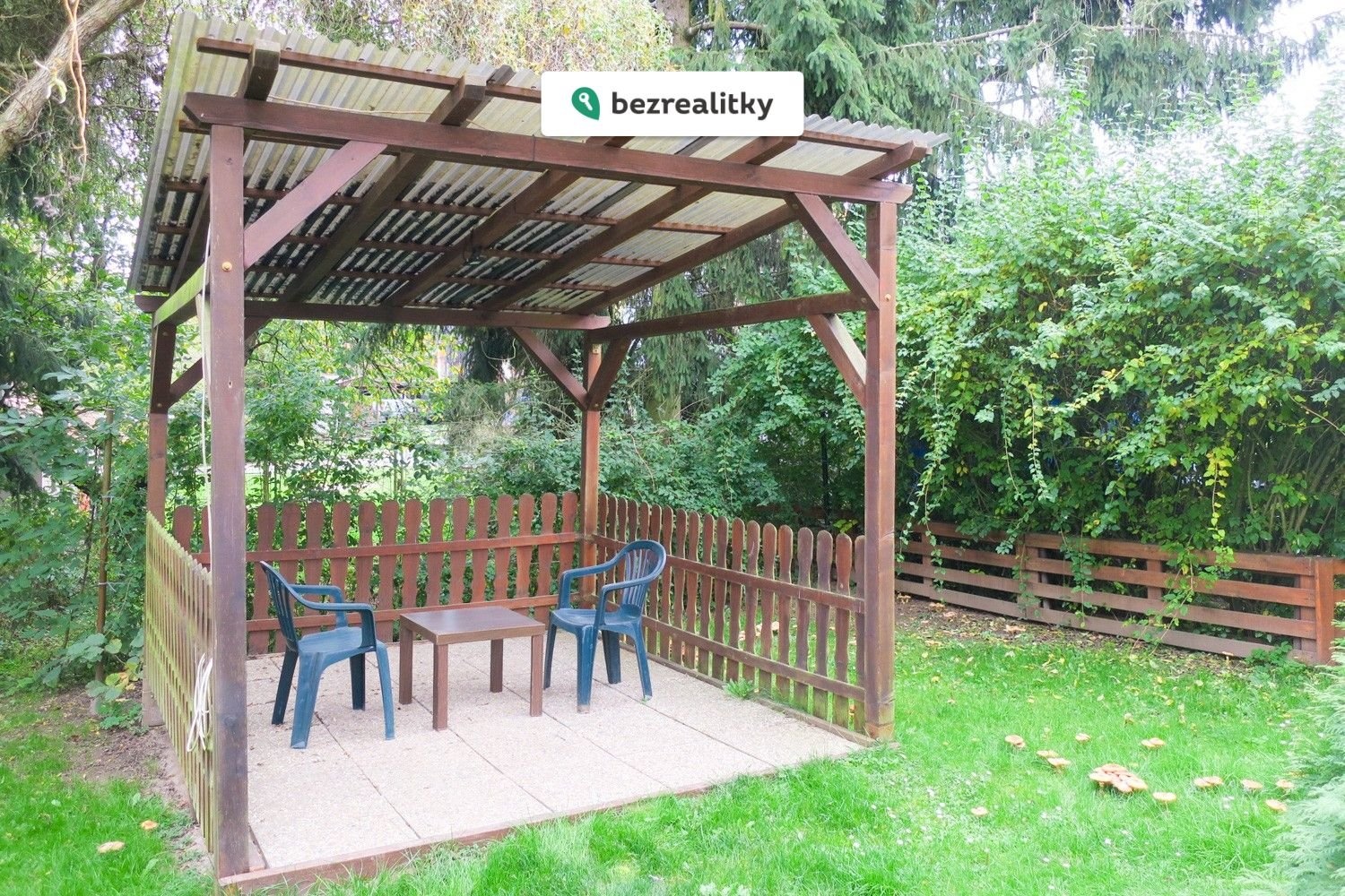 1763641244-pllxzaqhdg-img-2156