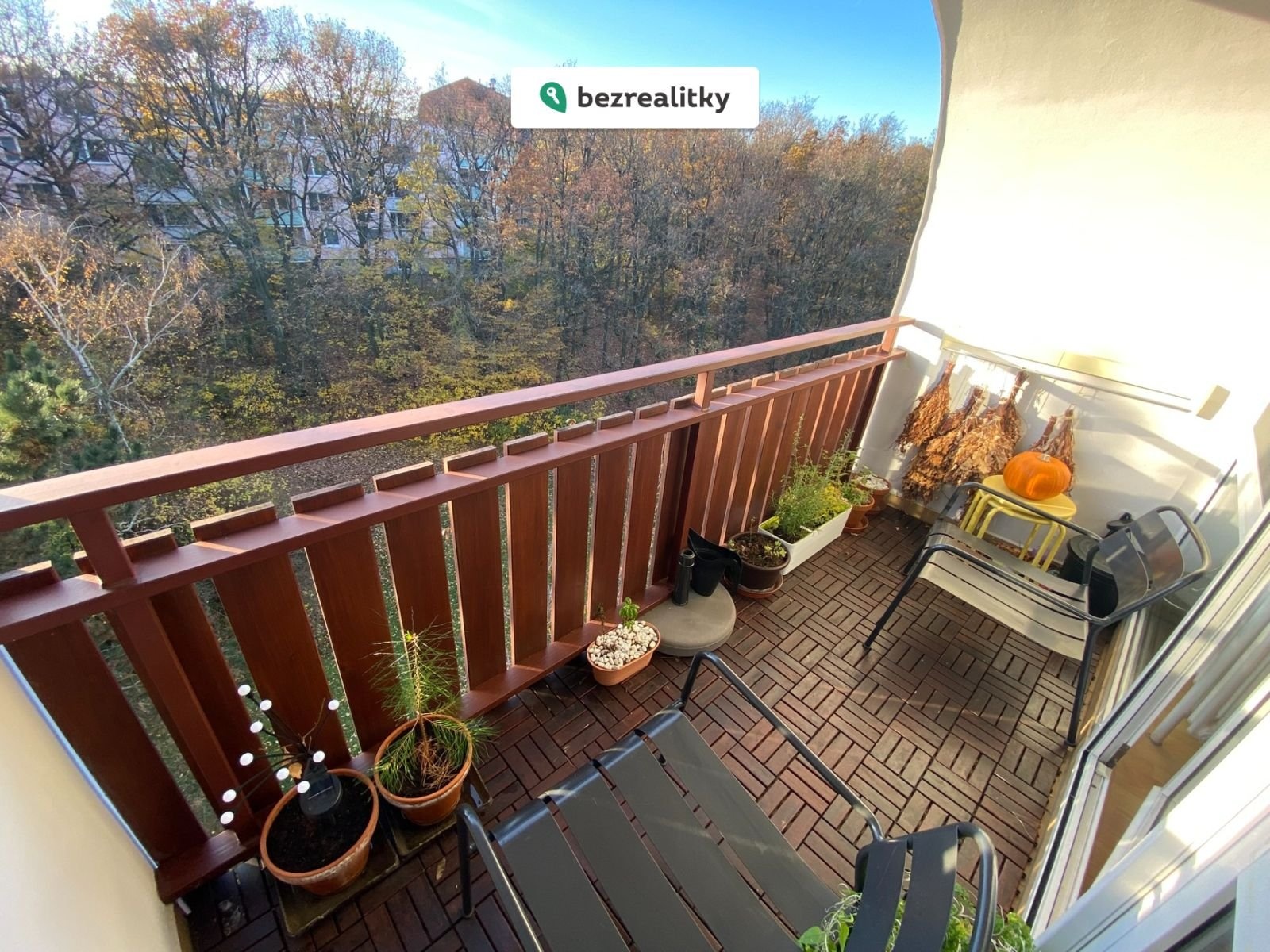 1762699827-wswiyijqic-img-2532