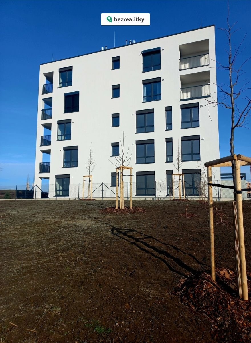 1772354857-bgvowgoucx-20260220-093832