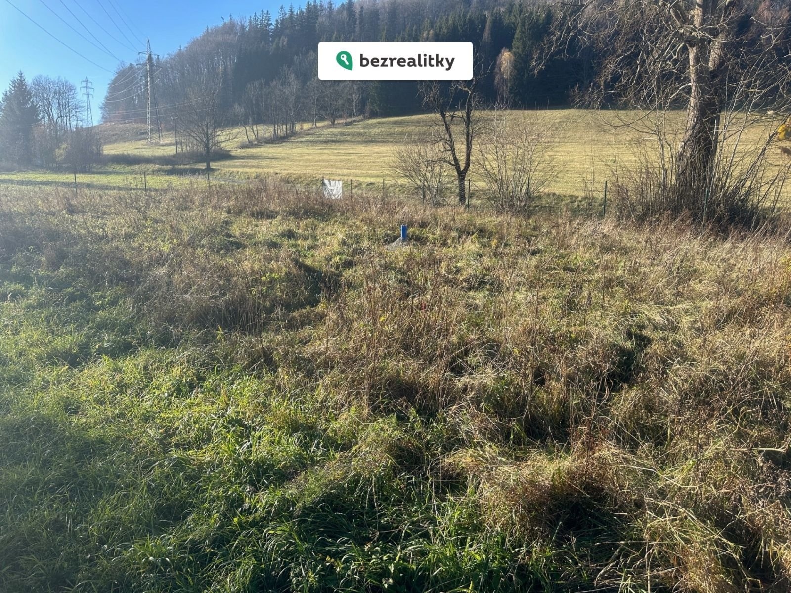 1758491794-whiqlrhtjh-img-3284