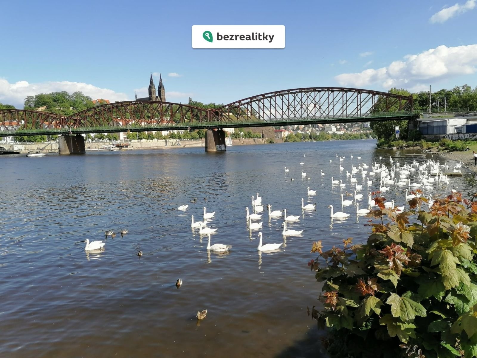 1772742336-fkitbiamix-landscape