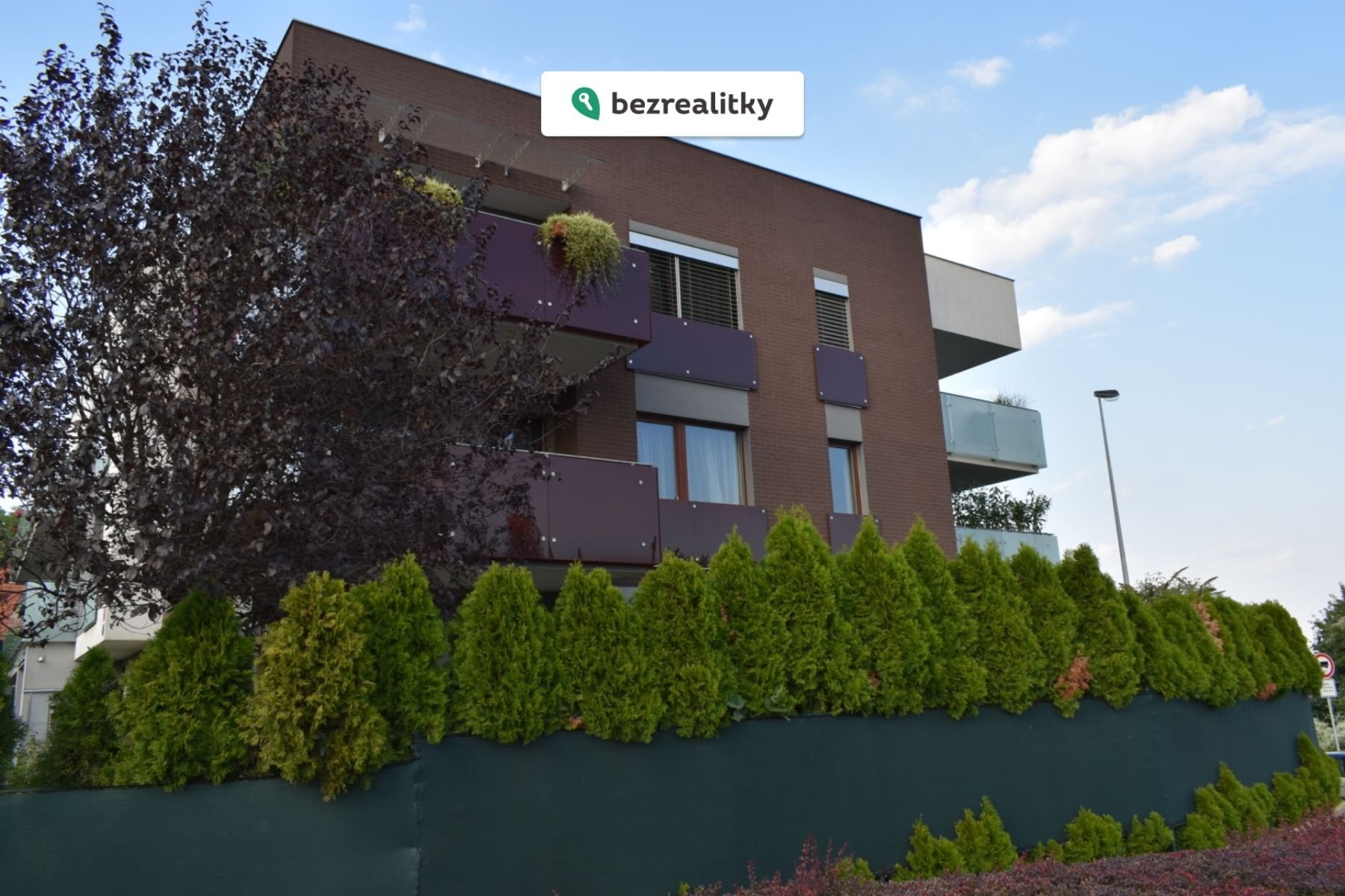 1763290669-ryxydbalcc-dsc-0008