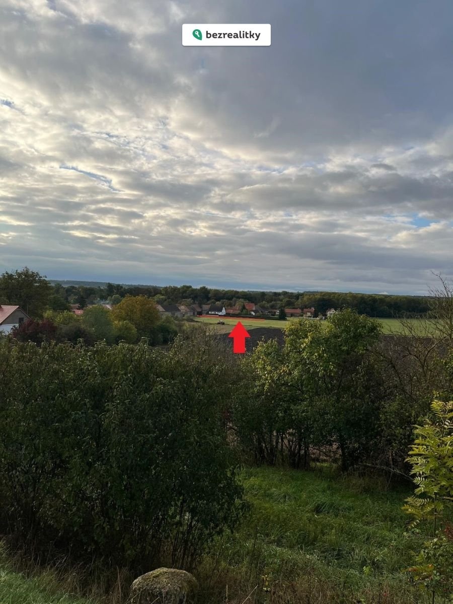 1773304537-zkmbckkvgs-foto2