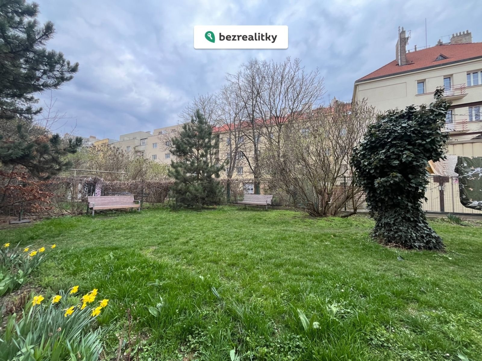 1774903722-yiphhvtavp-img-8414