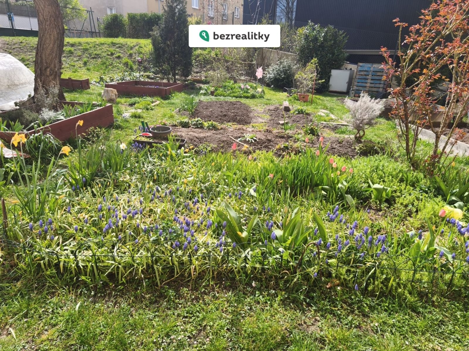 1775941493-xtbubbxerq-img-20260411-wa0003