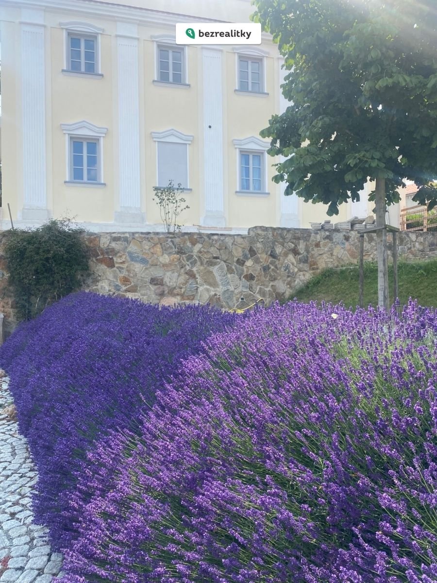 1769776241-rbtwhxpjse-img-7993