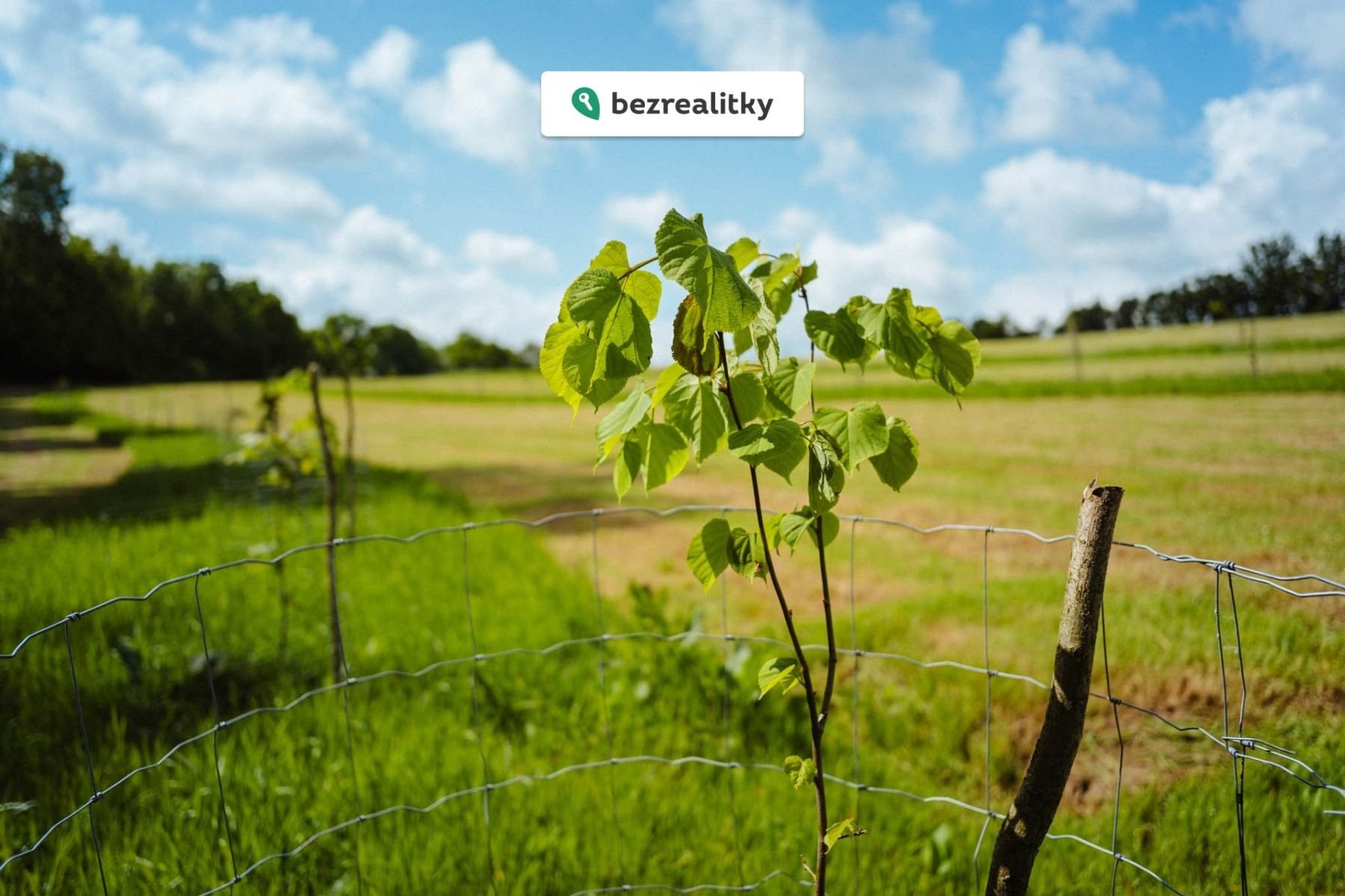 1775141183-jbeuqsvigf-l1070210