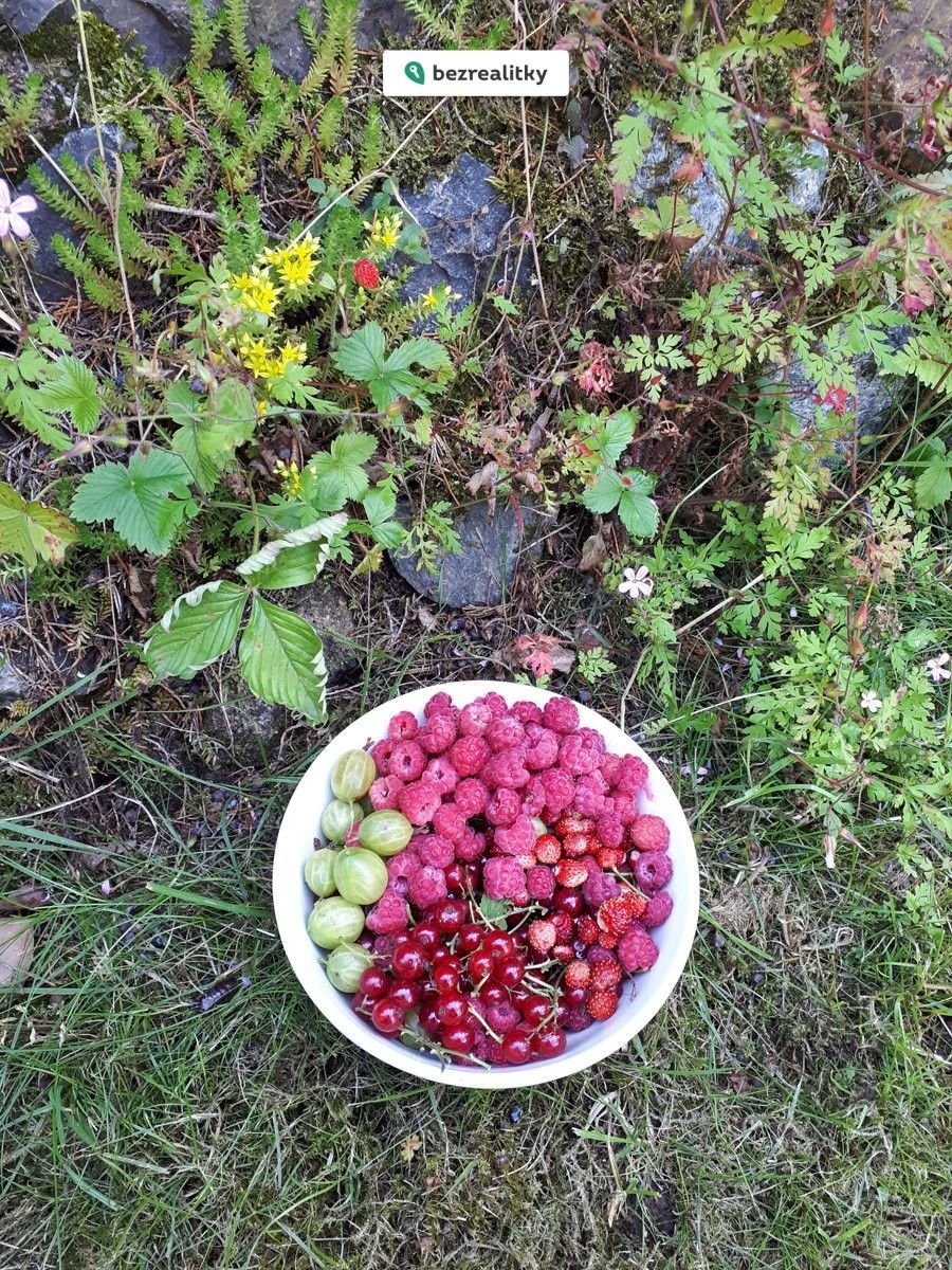 1750629446-twmftiyniz-20220705-140935