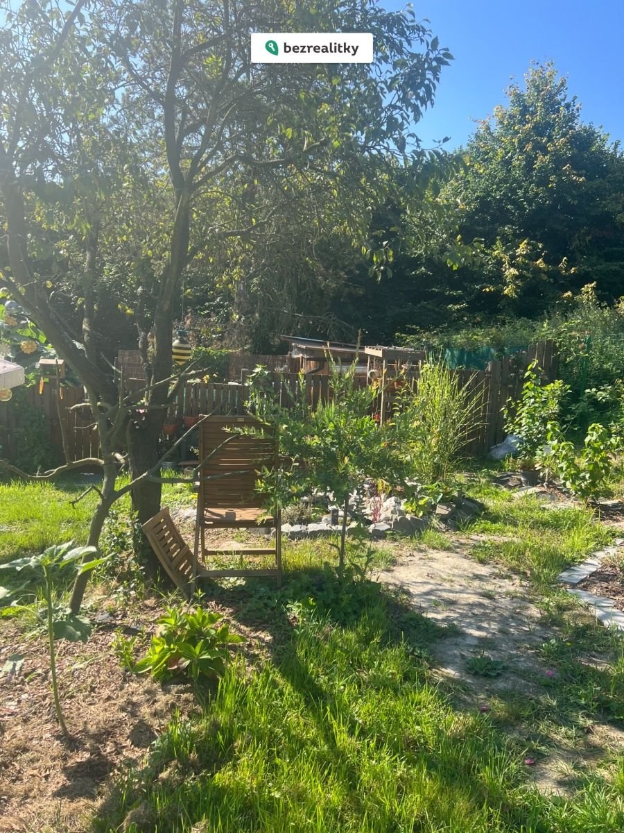 1770056048-jvtxanobah-img-2037