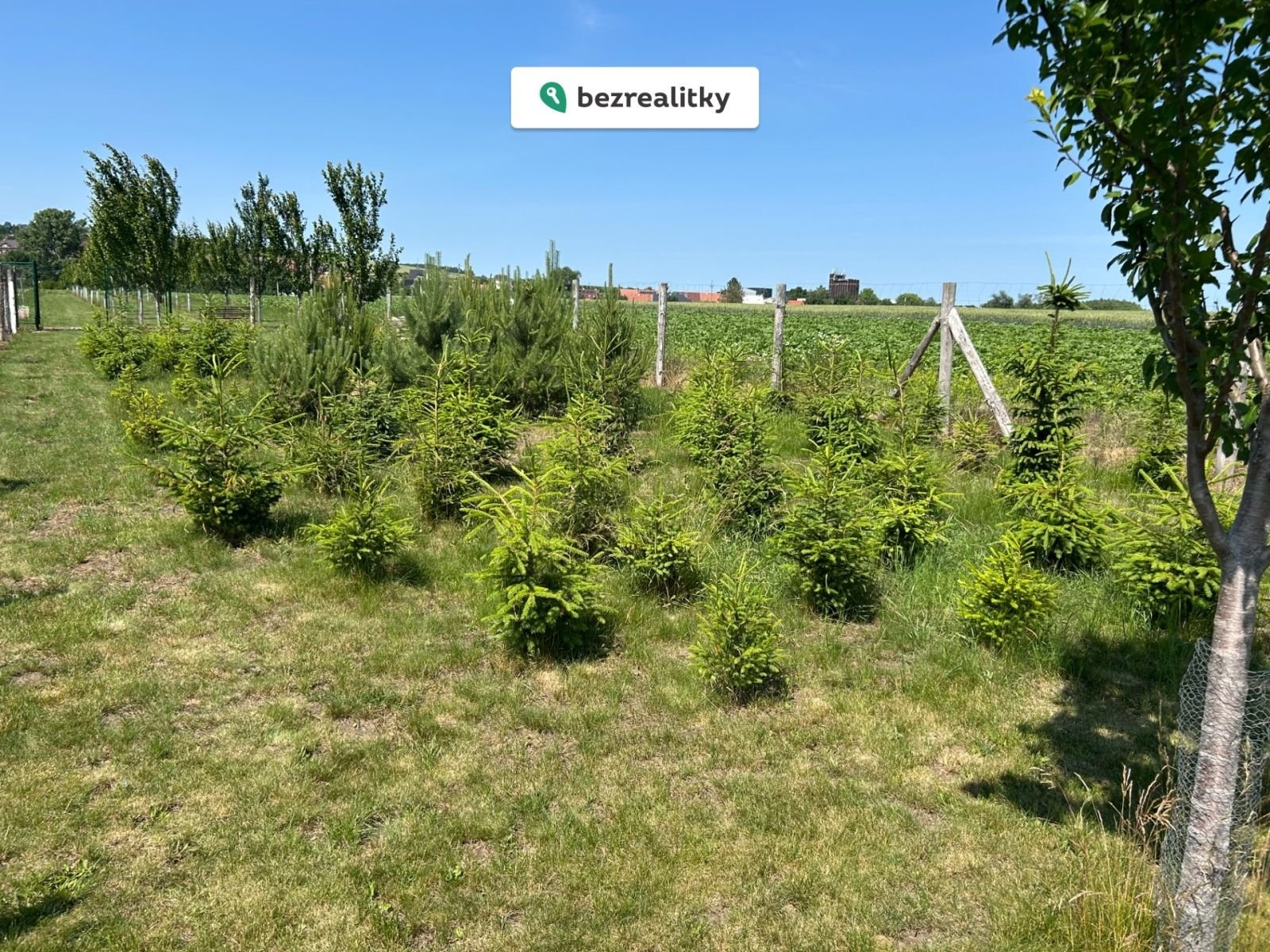 1763367485-jrcotobmzg-img-5655