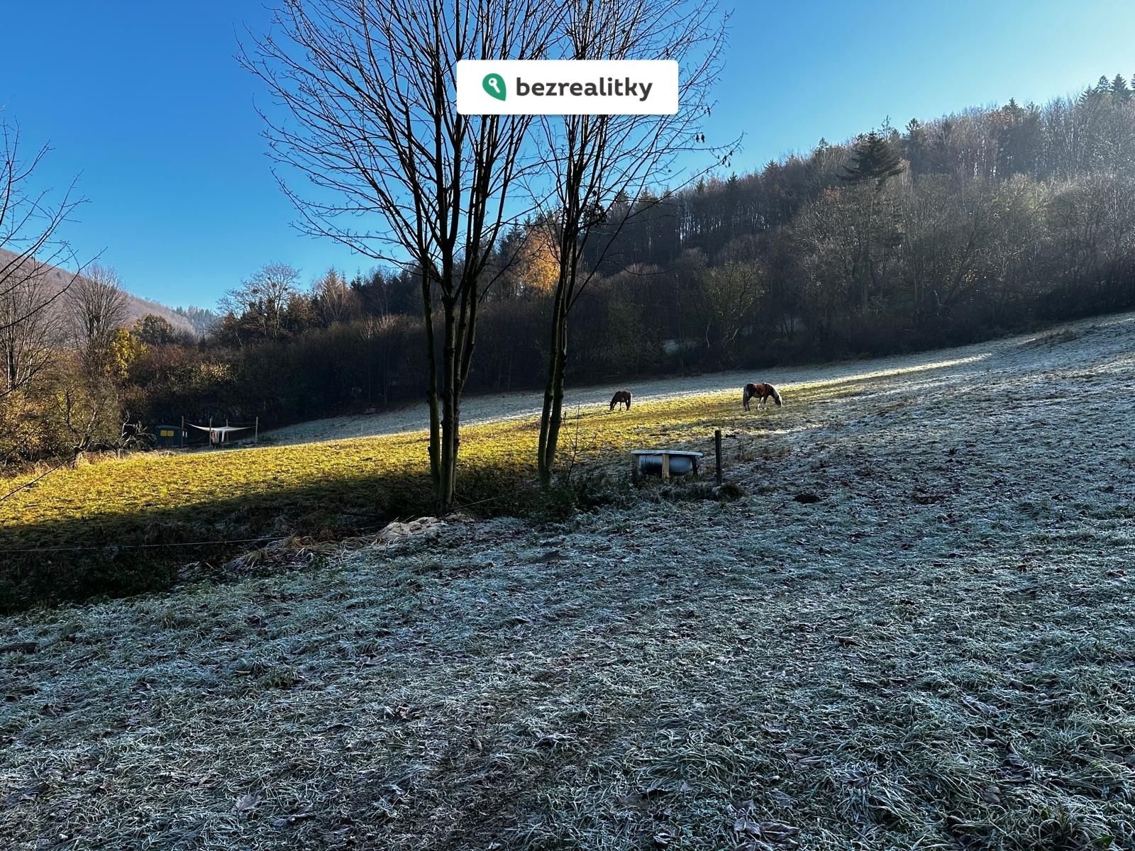 1773766061-khxcwmwgtd-photo-2025-09-25-12-23-24-24