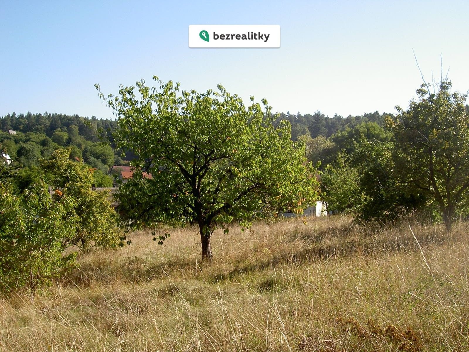 1771868134-egnzdowwhp-brezi-okoli-pozemku-vyhledy-286-29