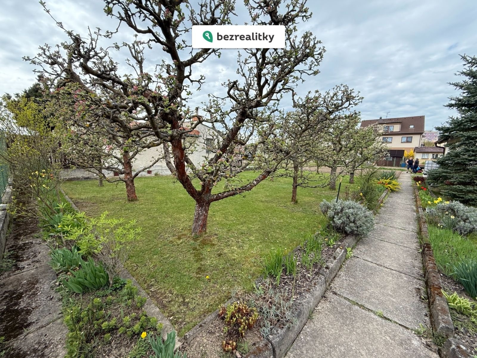 1746970998-ayclzqrewe-img-0345