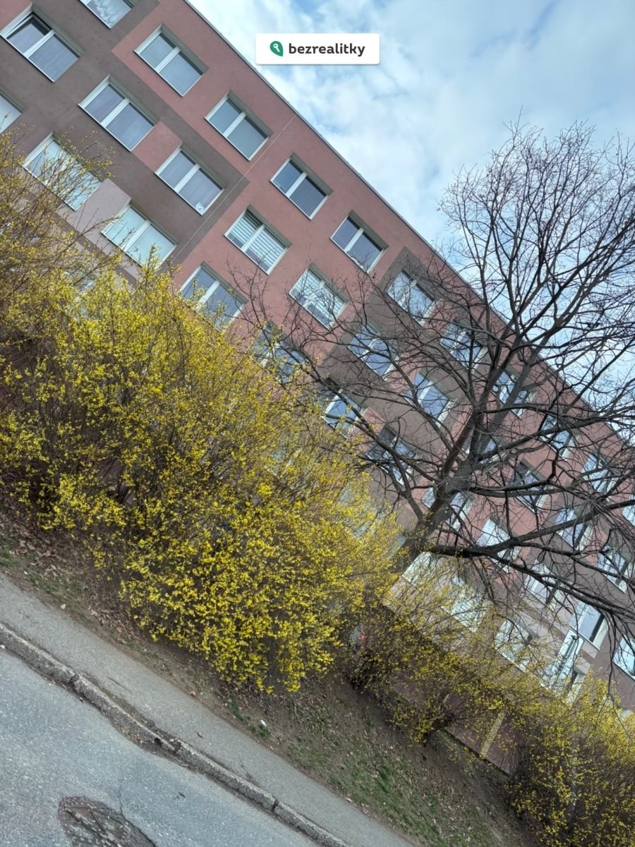 1774260796-uqhiomidqh-img-1705