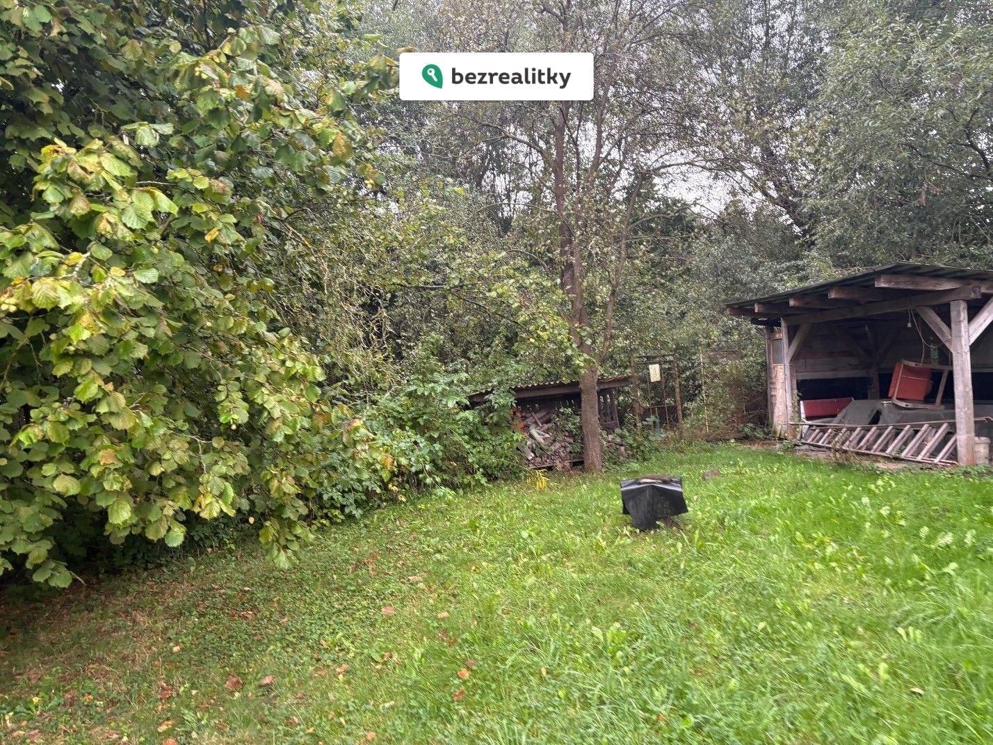 1772651942-ozrqslmnfe-img-2217