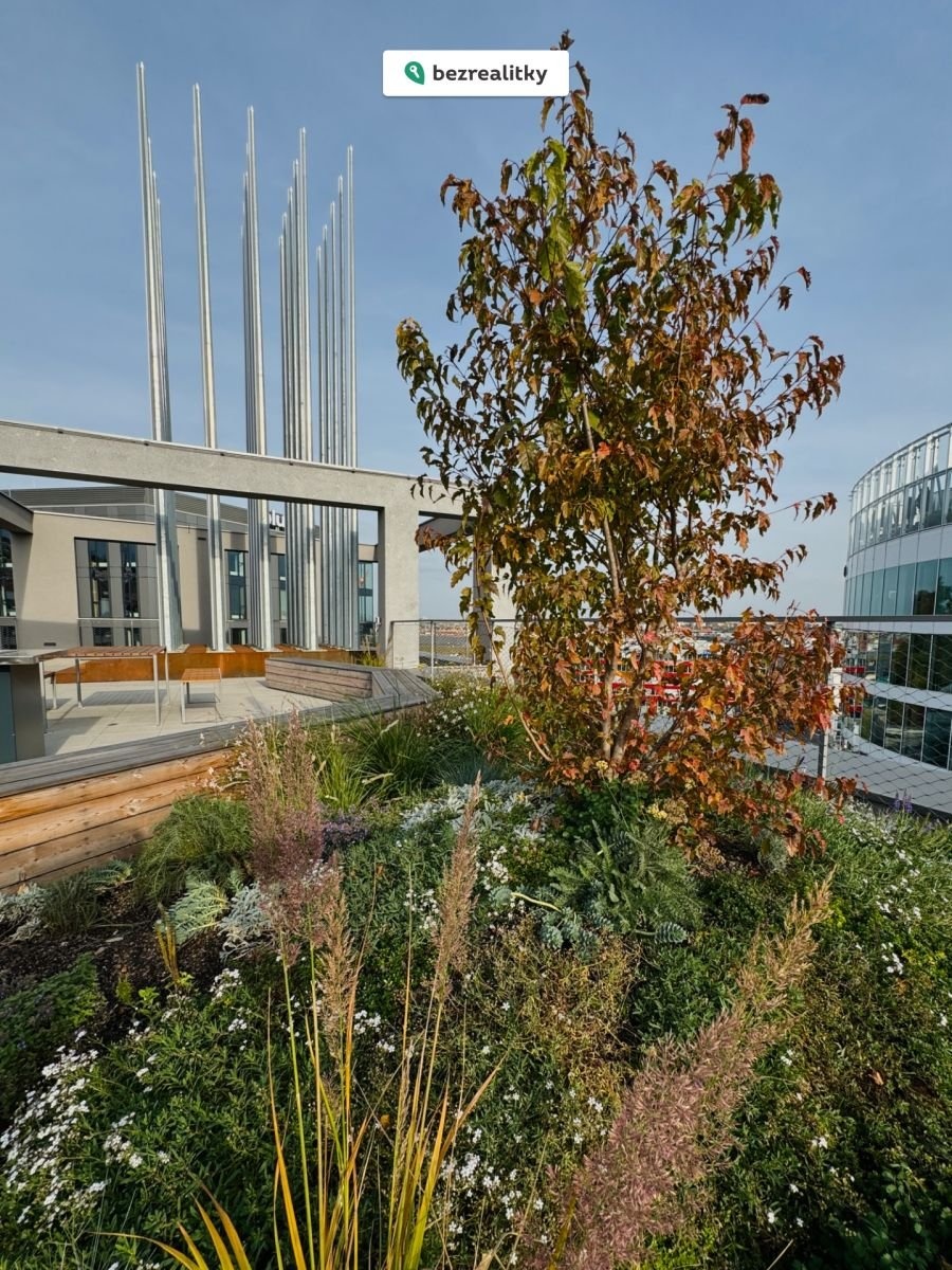 1776009107-qujhwprxak-img-0891