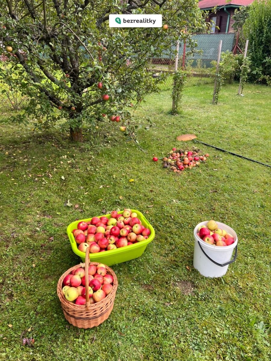 1773996643-uqhsxuvmbr-img-5518