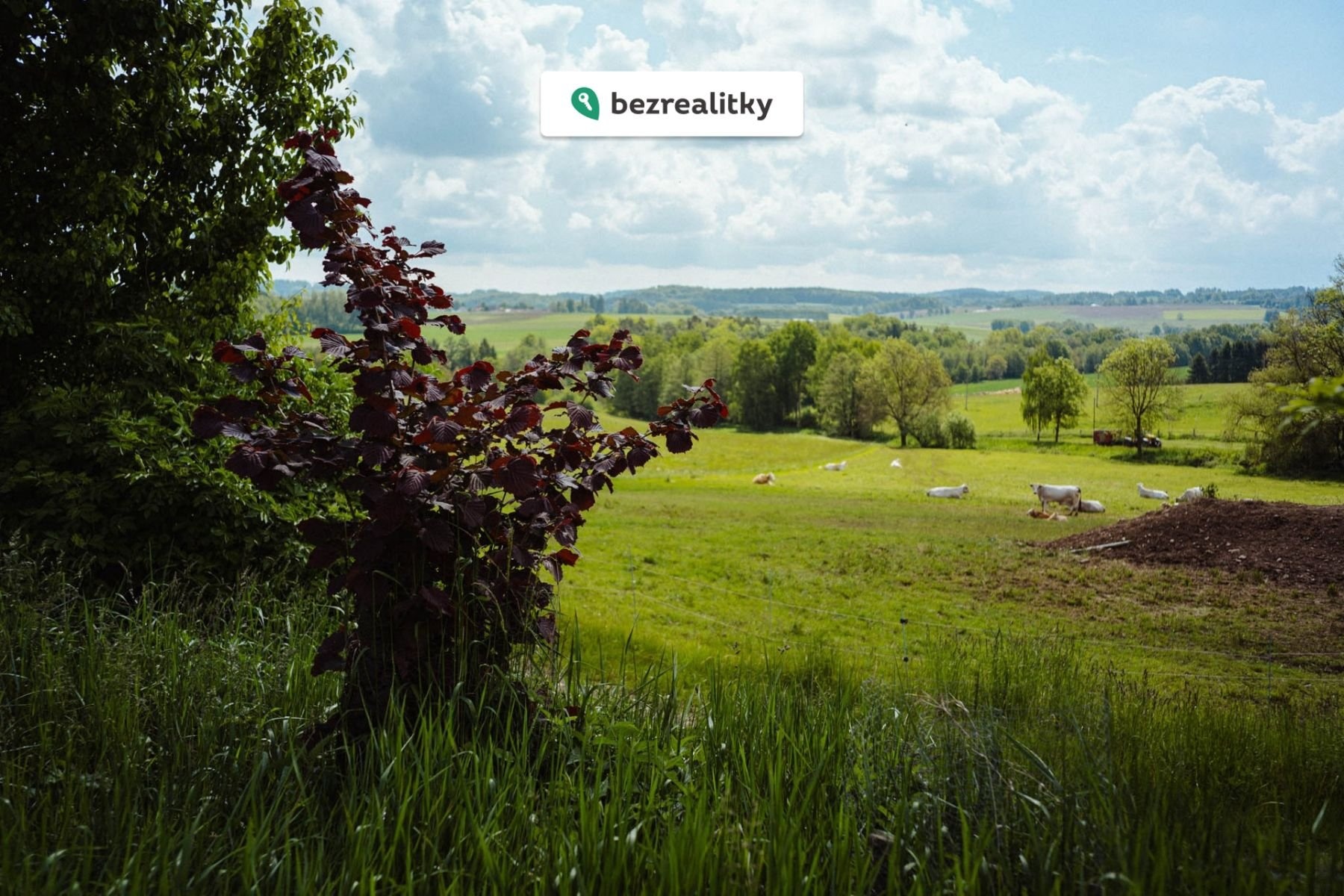 1775141189-bozgxmsnux-l1070285