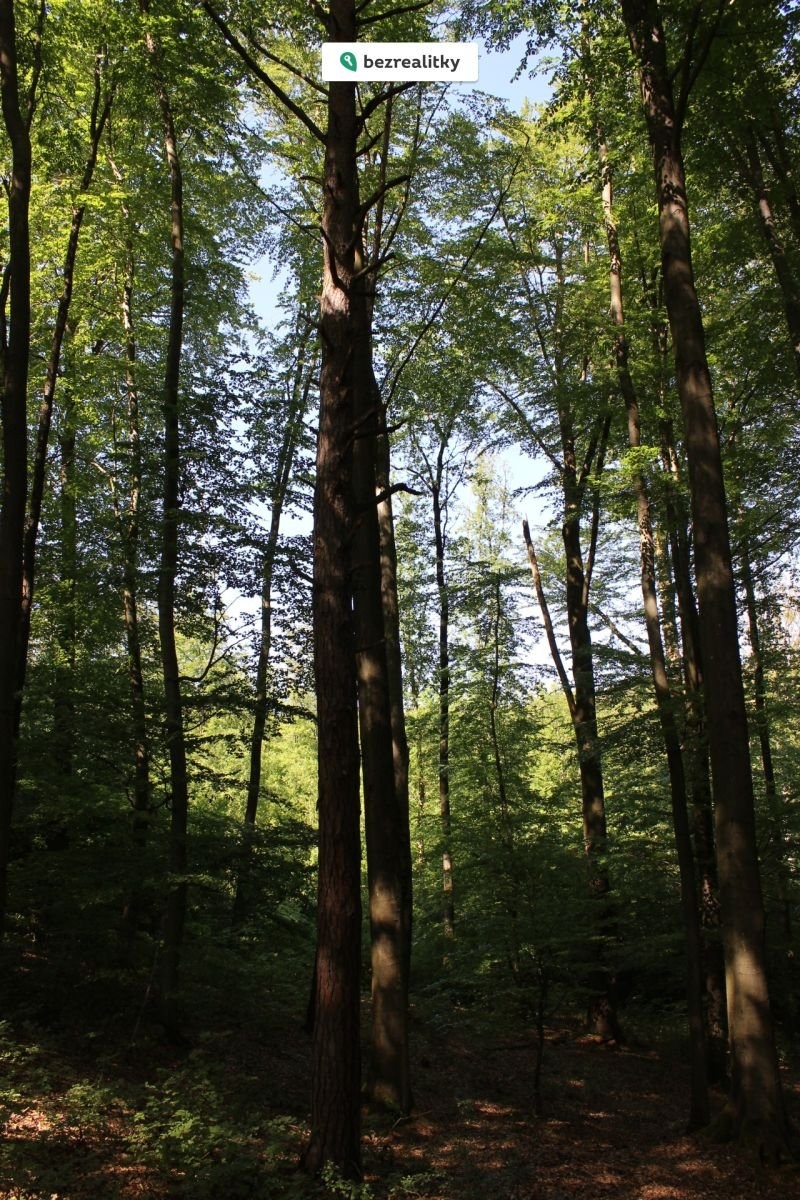 1764545288-qxzzuhqycr-img-6472