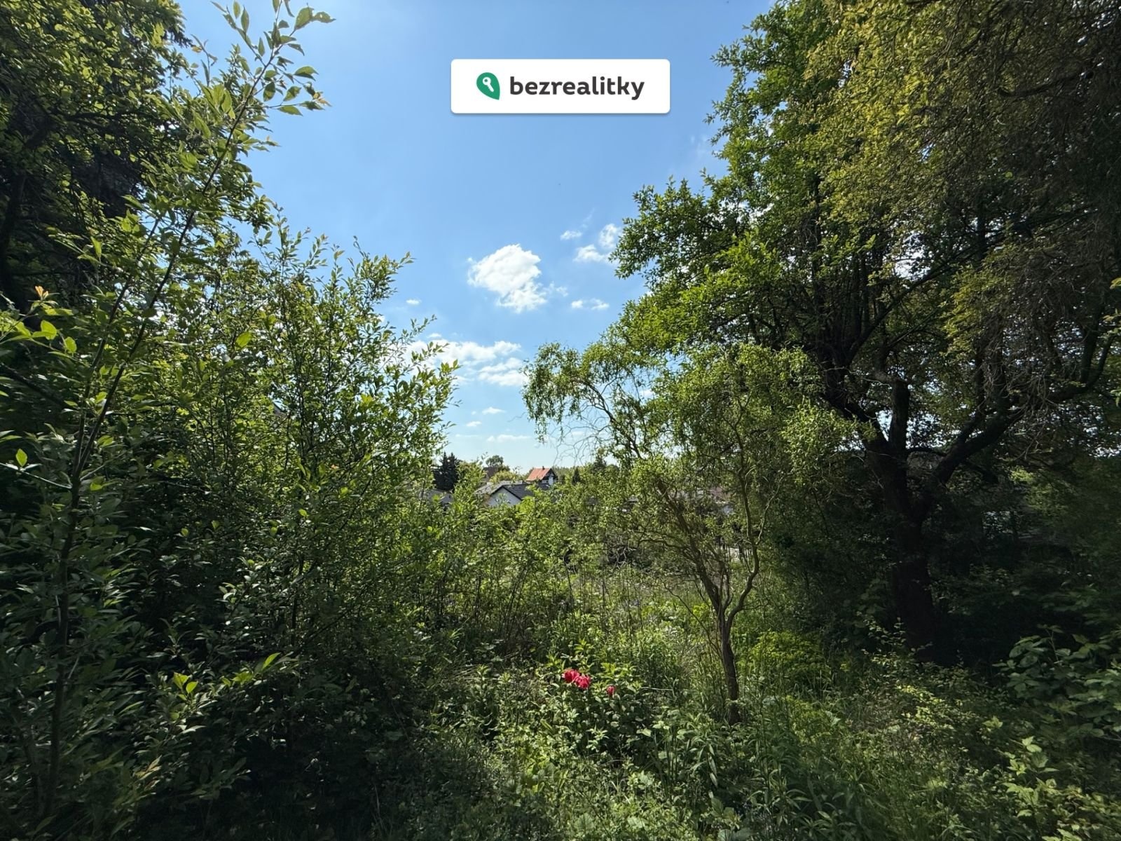 1761643619-guhqarhmax-img-3651