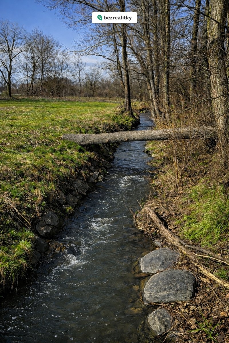 1771828281-uzapzsfrex-bc314b19-e0ab-446c-8d0e-9f47229df656