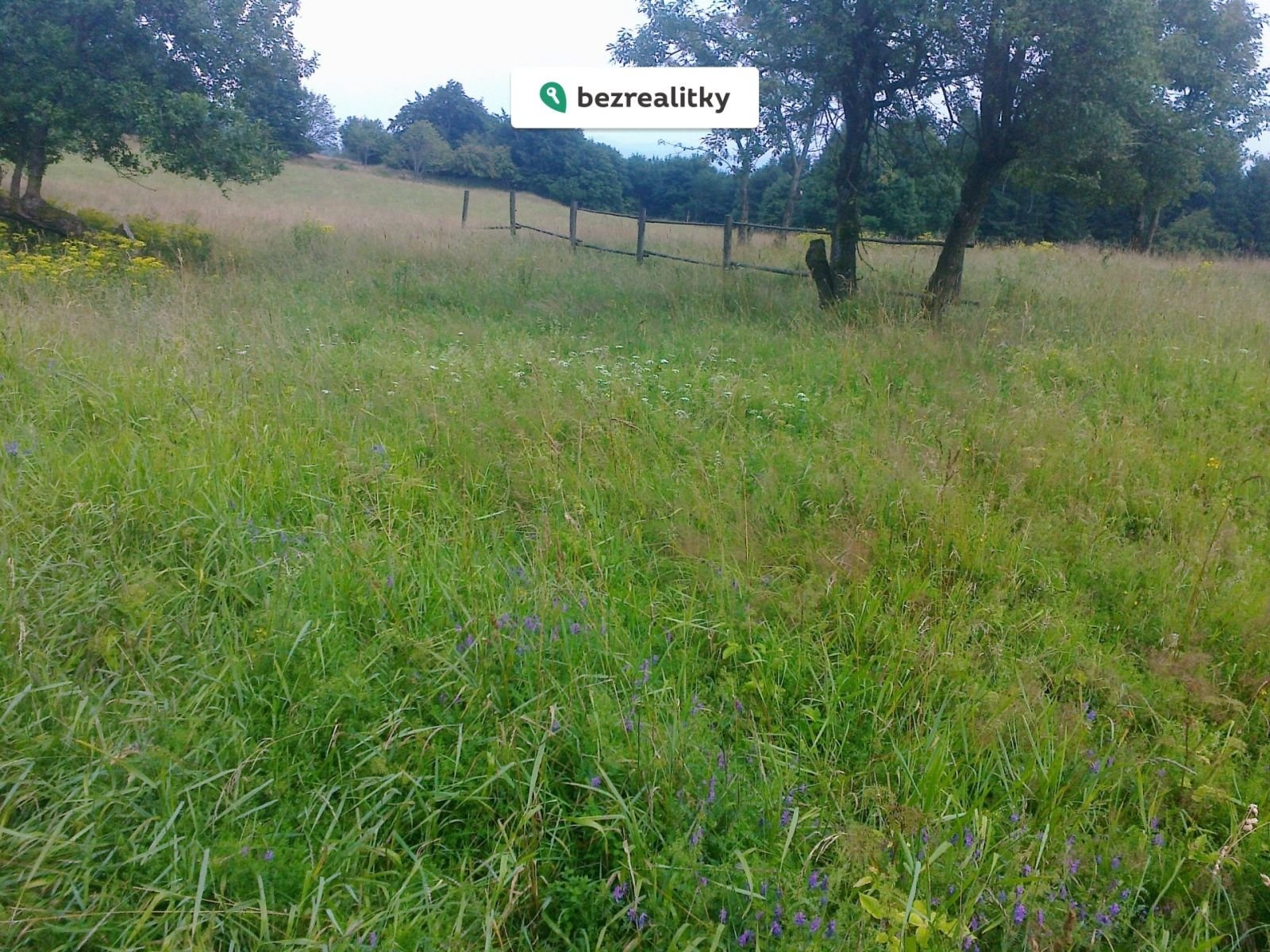 1762078319-rovlurugsi-fotografie0736