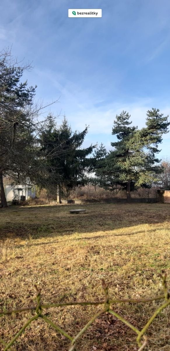 1734602902-ajgigktxdn-1000075365