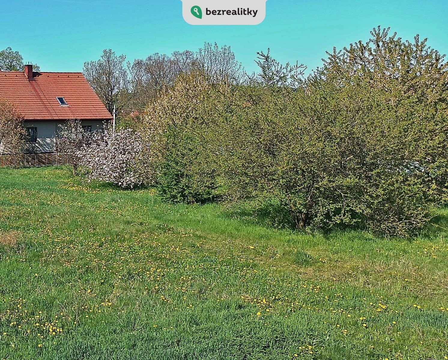 1745837023-zolqkdoqas-img-20250427-164739-707b