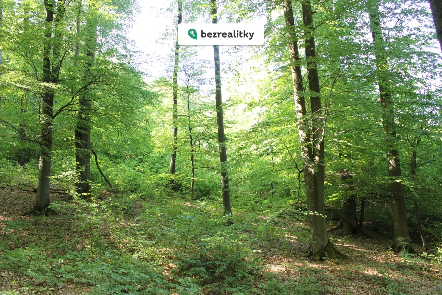 1764545291-ilfozhstff-img-6477