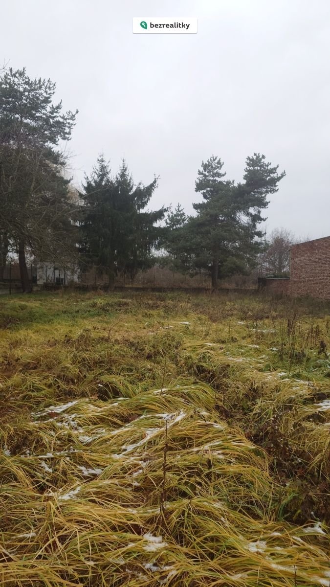 1733936030-wpcacffpiv-1000074571