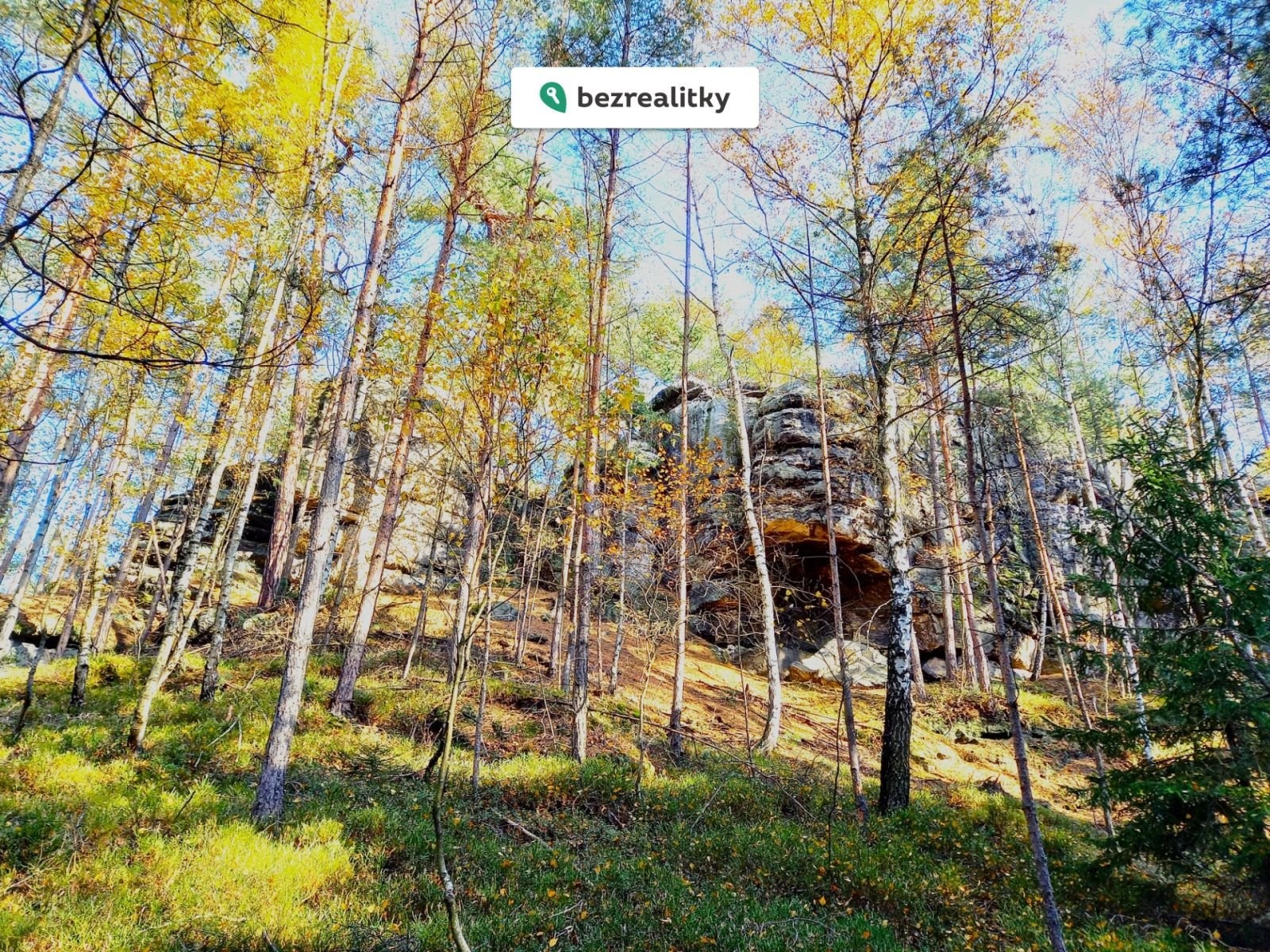 1774200435-buxyzbmyyq-20211028-130636