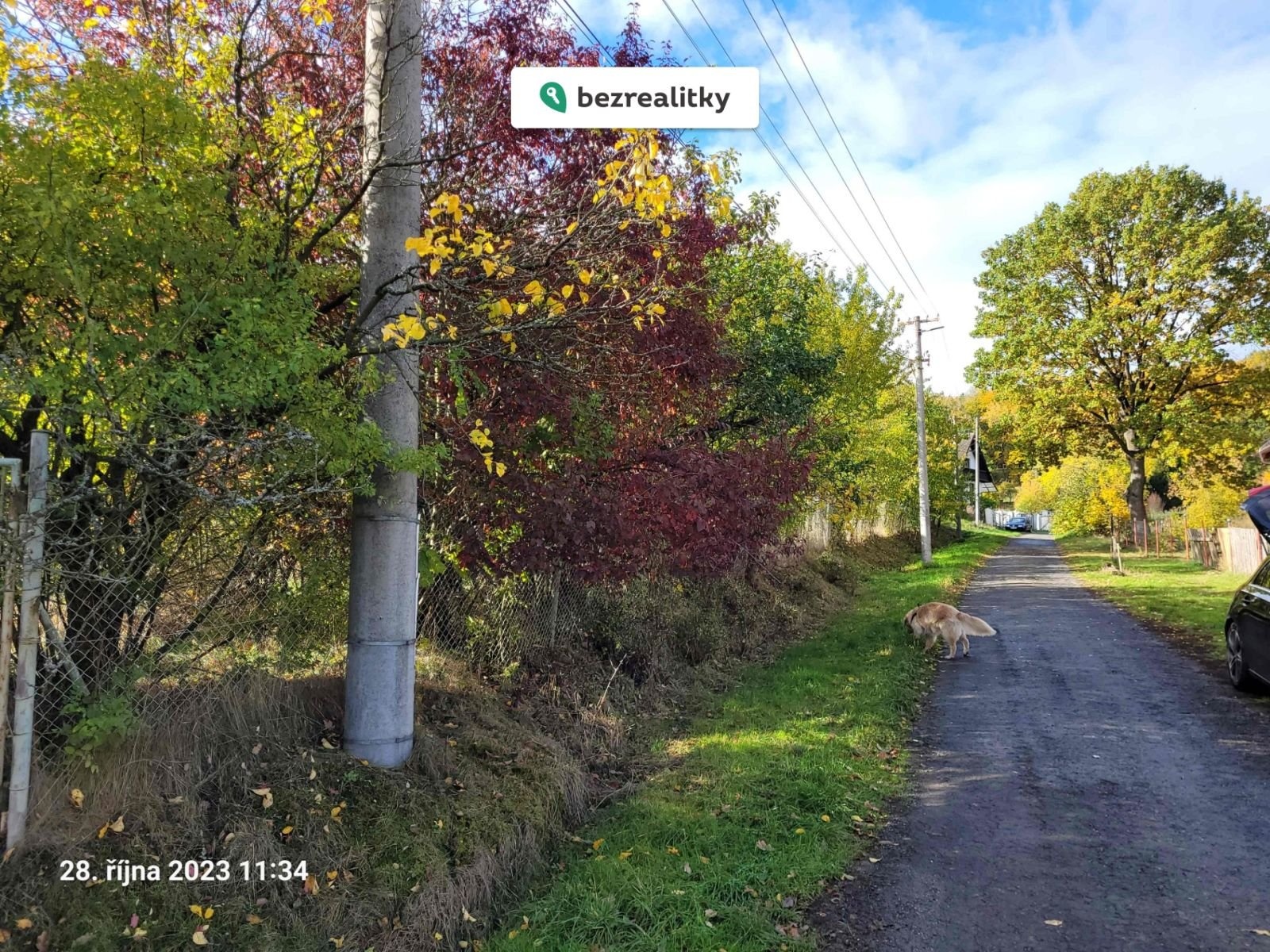 1723552411-shrkakuwhi-20231028-113423