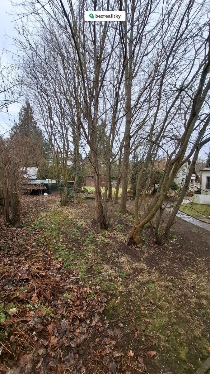 1771693096-oclfgtogfy-1000018850