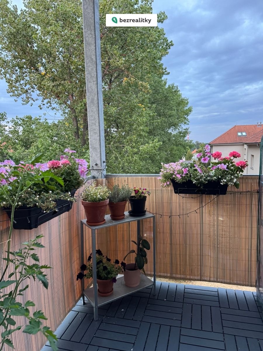 1772394104-dofreiqrvx-img-5798