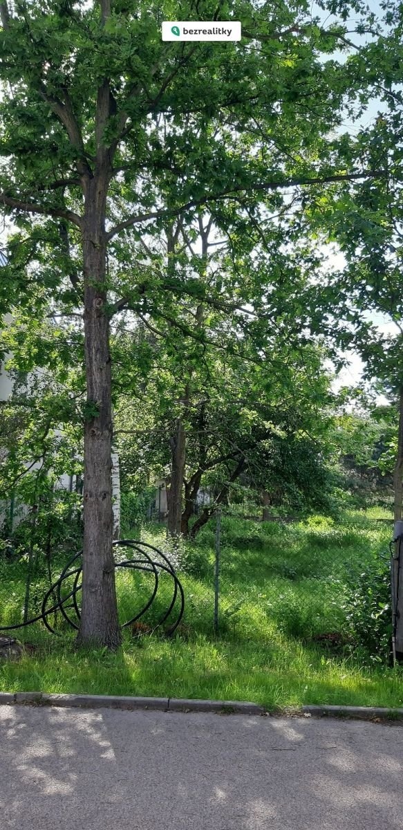 1730549849-fbuxqxizie-1000070595