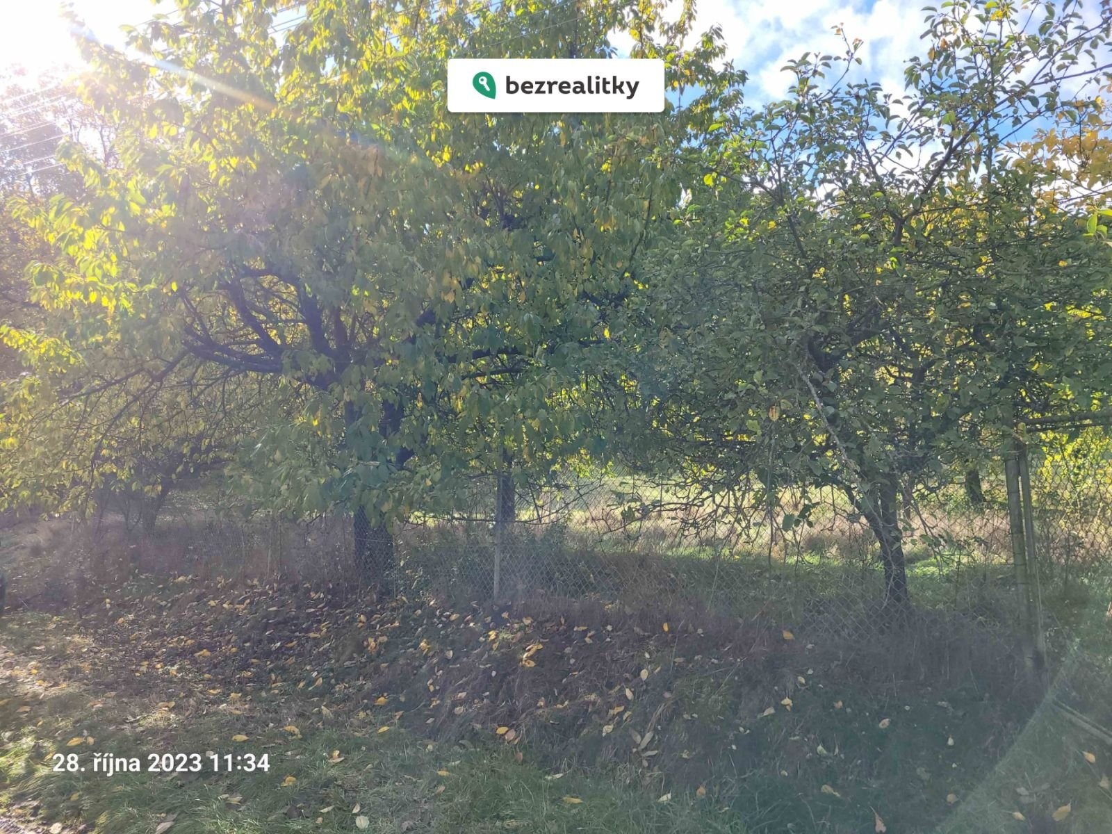 1723552406-fabmhamrjf-20231028-113432