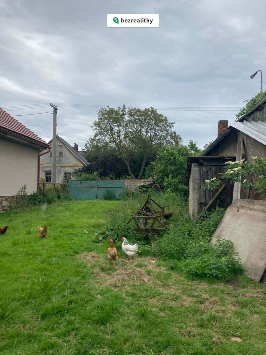 1753023210-zhtidarzlm-img-9587